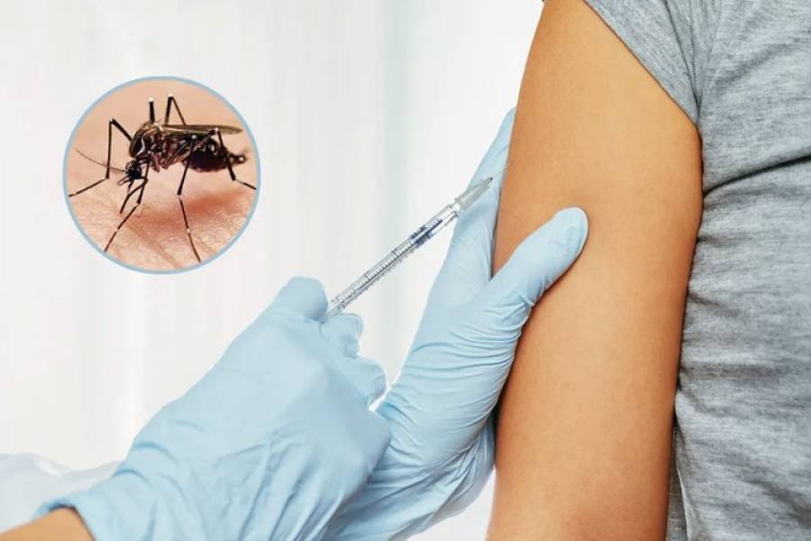 El Gobierno nacional cuestionó a la vacuna contra el dengue