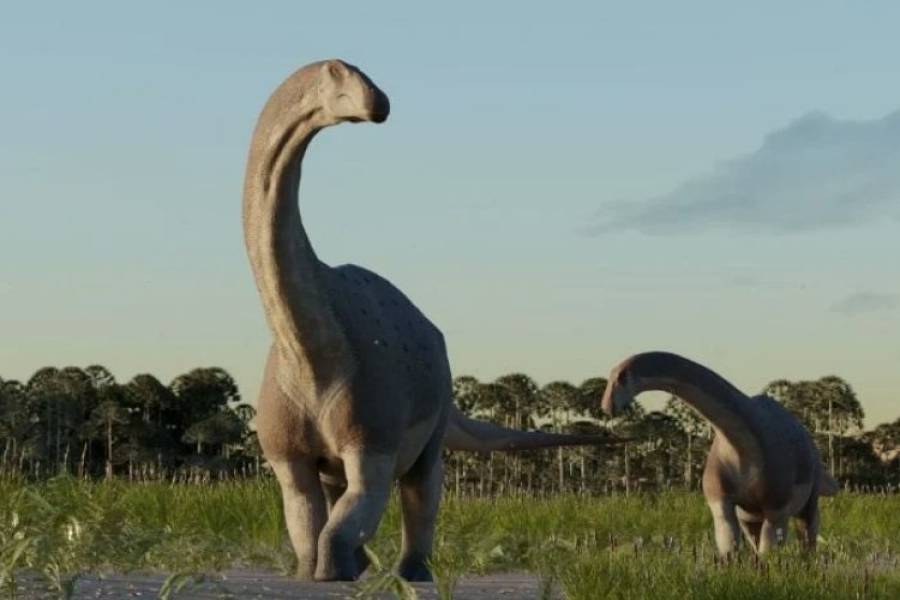 Hallazgo extraordinario en Argentina: el dinosaurio que pesaba 7.000 kilogramos