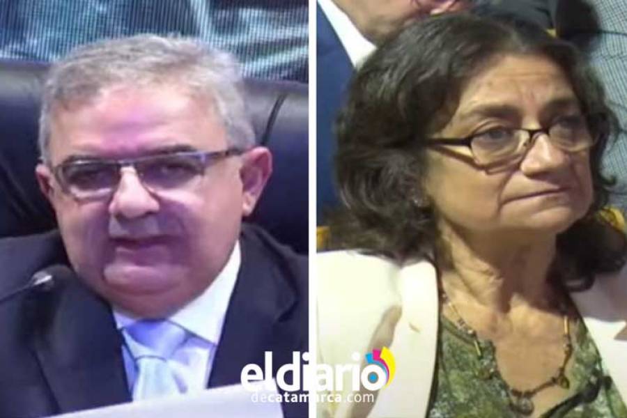 Ley Bases: Lucía anunció que  votará en contra, pese al pedido de Jalil