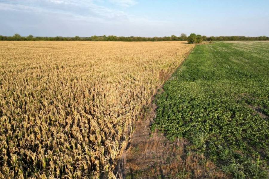 Desesperado rezo del campo a La Niña para que deje pasar agua y salve los cultivos