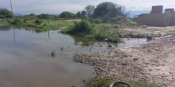 Vecinos del Barrio 20 de Marzo se quejan de la mugre y el abandono