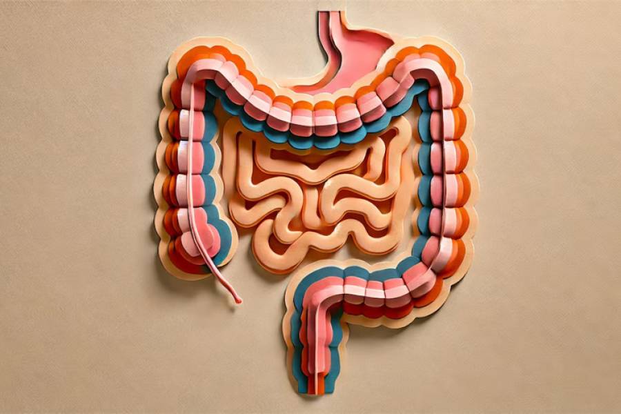 Cuál es la fruta que ayuda a mantener la salud del intestino