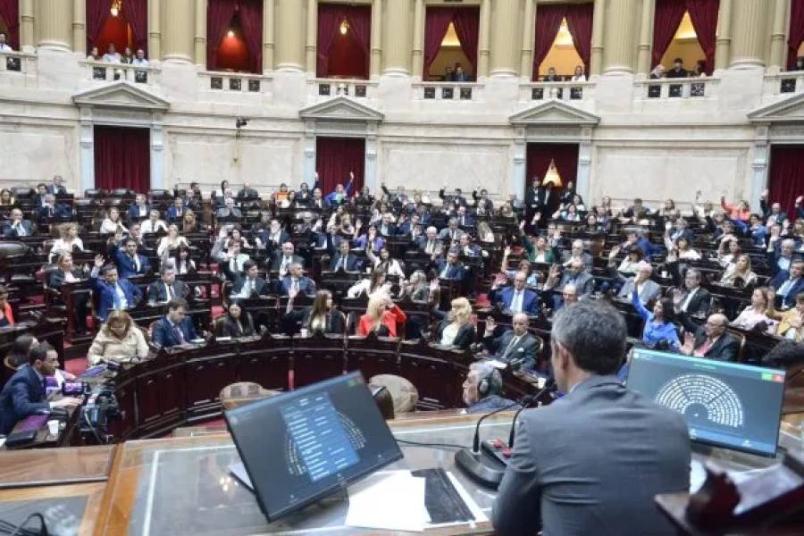 Diputados dio media sanción a la suspensión de las PASO