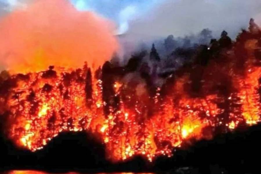 El incendio en el Parque Nacional Nahuel Huapi continúa activo: ya son más de 40 días de fuego