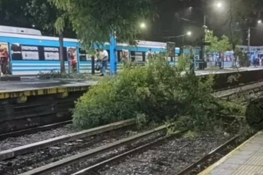 Temporal en el AMBA: usuarios sin luz, voladuras de techos y árboles caídos