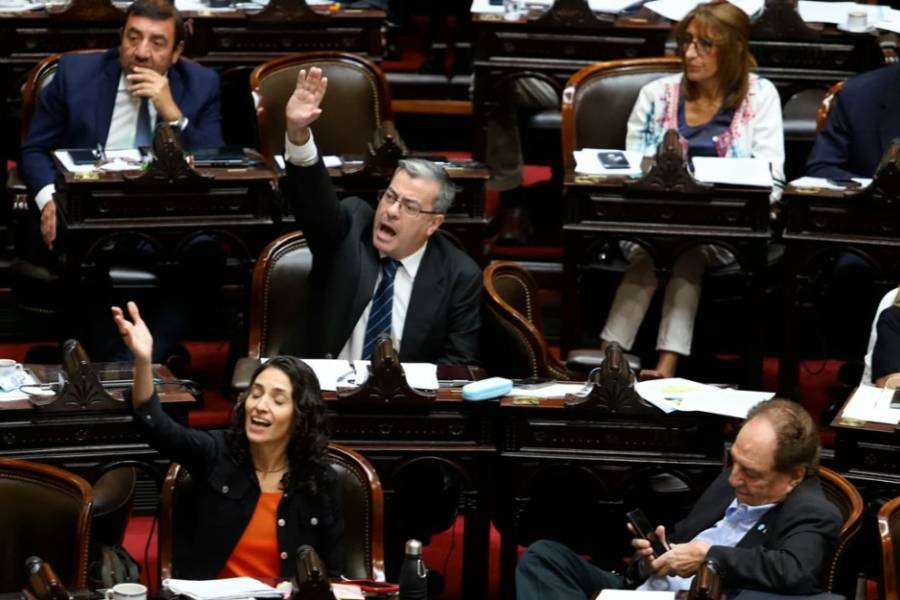 Uno a uno: cómo votó cada bloque la Ley de Ficha Limpia en Diputados