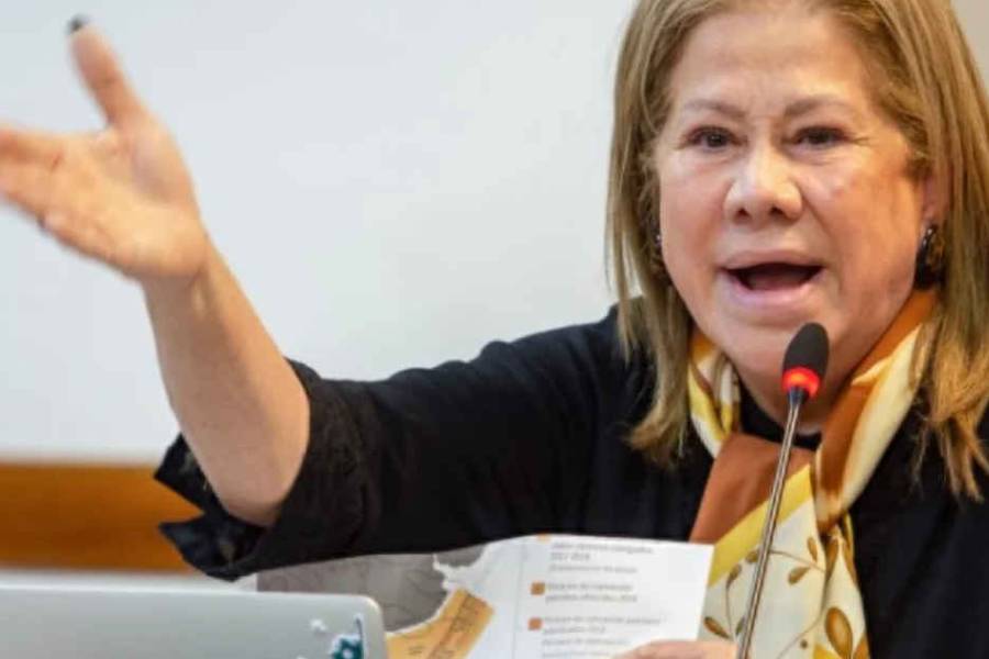 Graciela Camaño afirma que el Gobierno de Javier Milei desprecia 