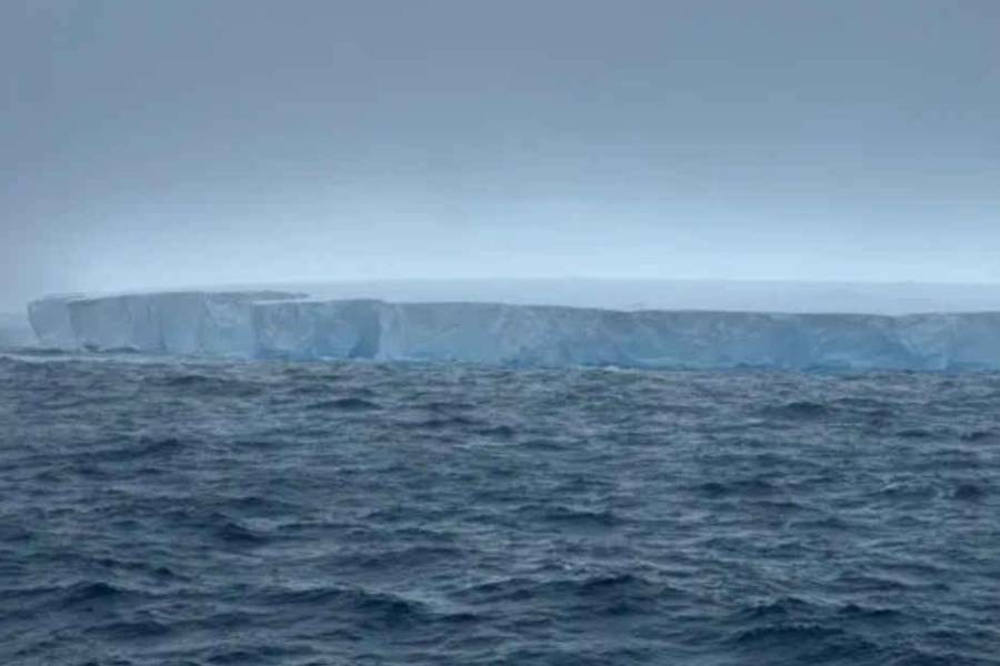 El iceberg más grande del mundo quedó inmovilizado cerca de las islas Georgias del Sur