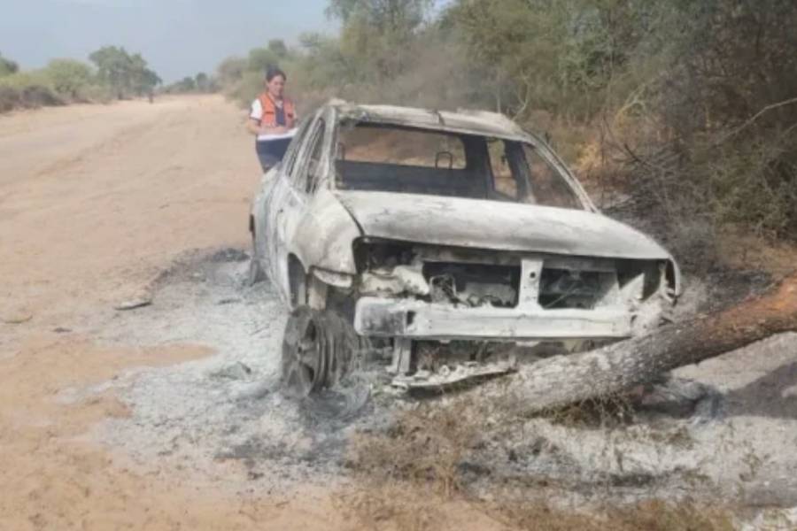 Insólito: se dirigía al cementerio, lo picó un enjambre de abejas, chocó contra un árbol y murió carbonizado