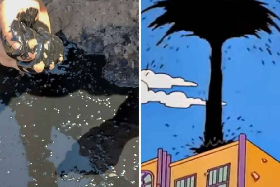 Como en Los Simpson: hacían una excavación en una escuela de Argentina y encontraron petróleo