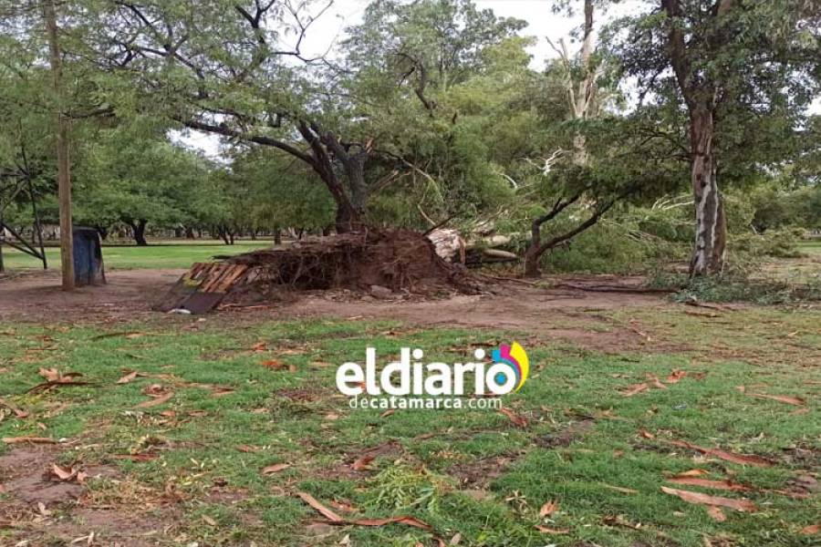 La lluvia y el viento zonda causaron daños en Catamarca 