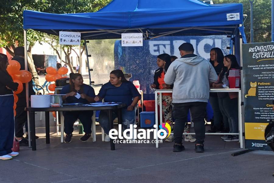Celebran el Día del Animal con una jornada de concientización y cuidados en la Plaza 25 de Mayo