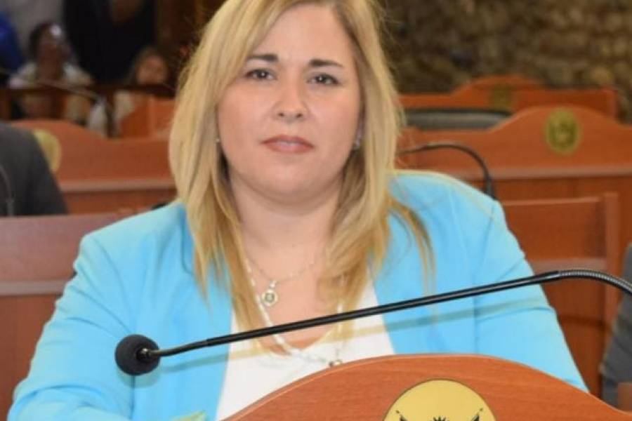 Vallejos cruzó al Gobierno por el subsidio a la natalidad: “Es una contradicción que promuevan el aborto y quieran fomentar nacimientos”