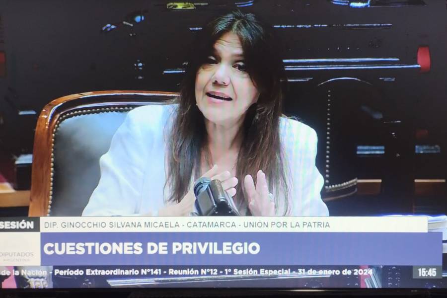 La diputada nacional Silvana Ginocchio defendió la no privatización de YMAD