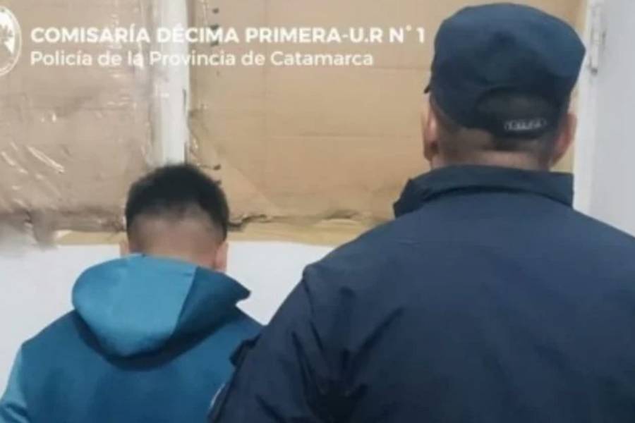Golpeó a su pareja y le robó el celular 
