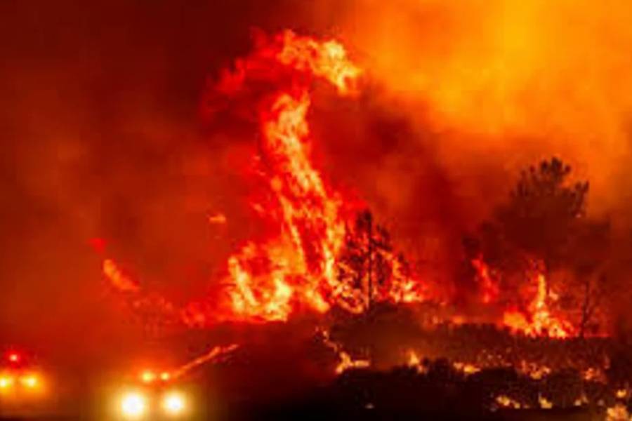 Incendio forestal en Los Ángeles dejó miles de evacuados y más de 2.000 hectáreas calcinadas