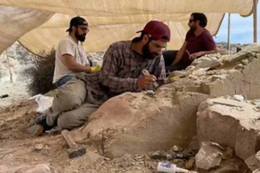 Nuevo streaming del Conicet: de las profundidades del mar a buscar fósiles de dinosaurios