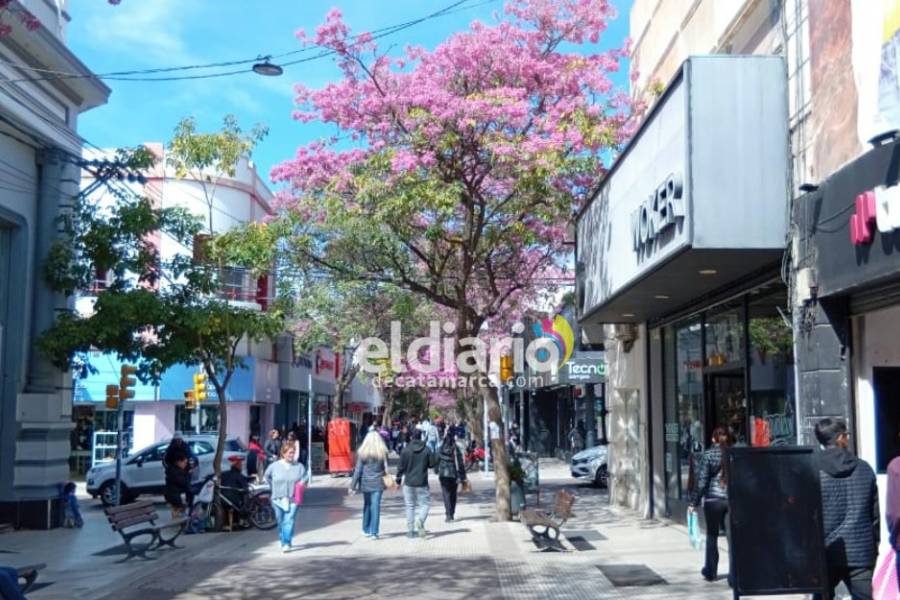 Se quiso quitar la vida en pleno centro 