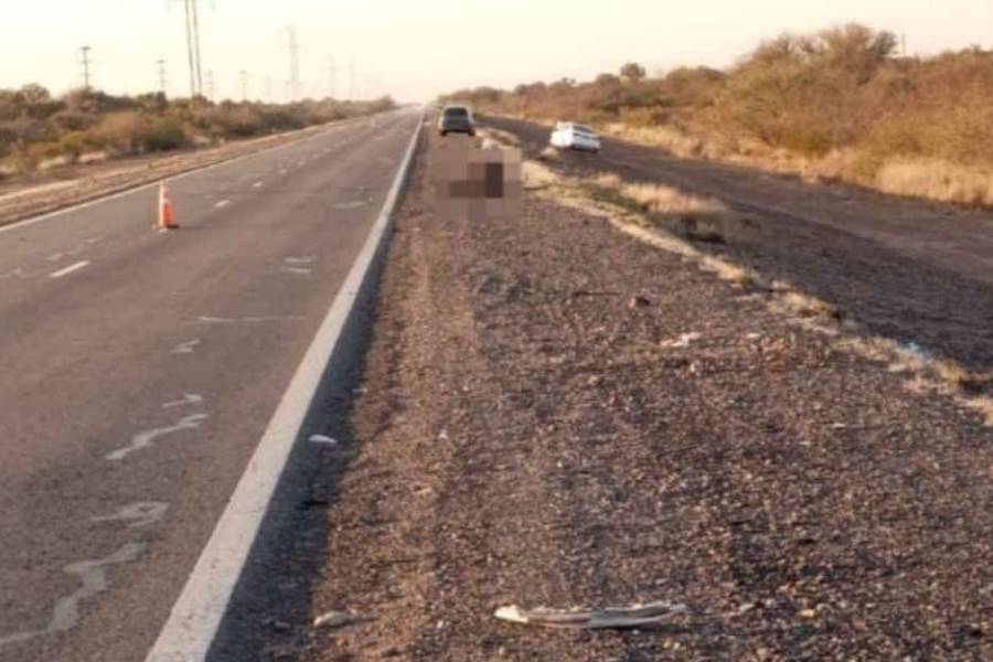 Chocó a un burro con su camioneta y salió ileso