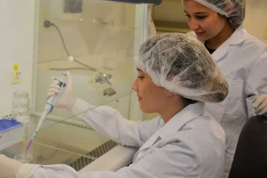 Avanza en Argentina una innovadora terapia para regenerar huesos a partir de células del cordón umbilical