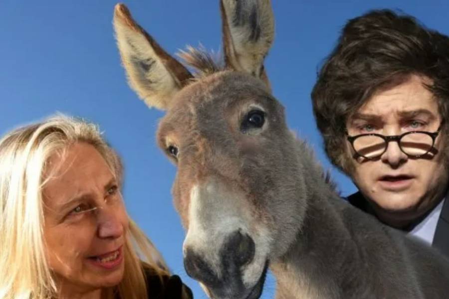 El Gobierno más burro de la historia: libertario propone declarar al 11 de septiembre como el Día del Maestro