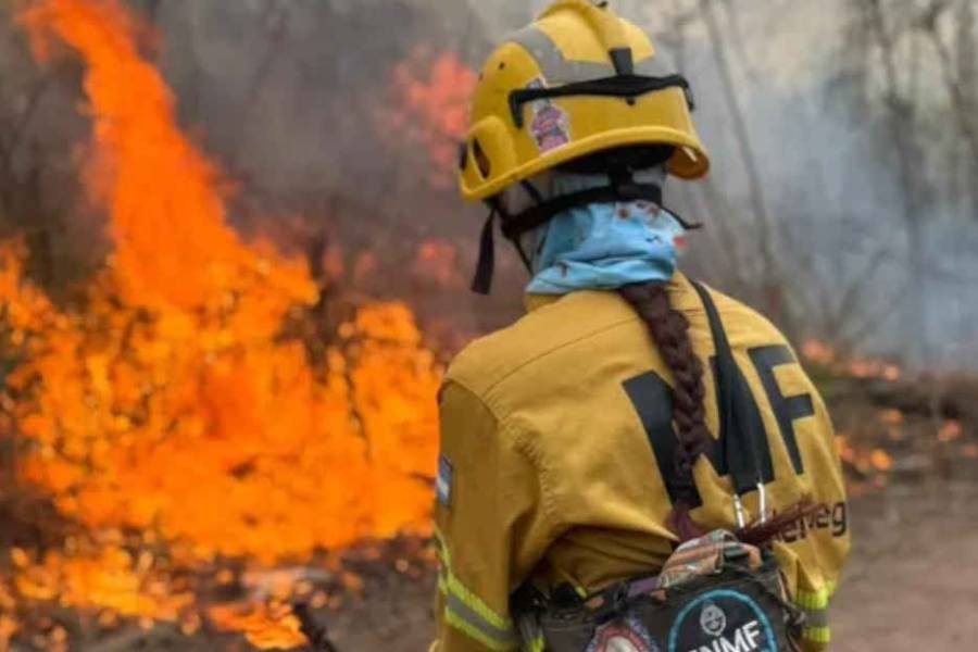 Incendios forestales arrasaron con más de dos mil hectáreas en Salta