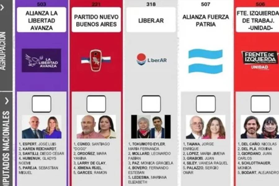 El fiscal descartó reimprimir las boletas en la Provincia de Buenos Aires para sacar a Espert y ahora debe definir la Cámara Nacional Electoral