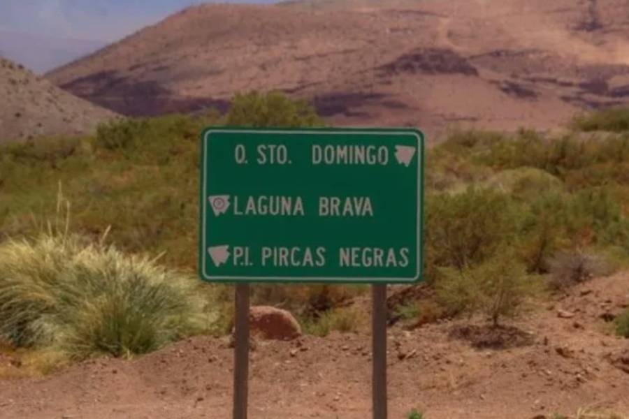 Científicos del CONICET encontraron los restos de uno de los dinosaurios más antiguos del mundo