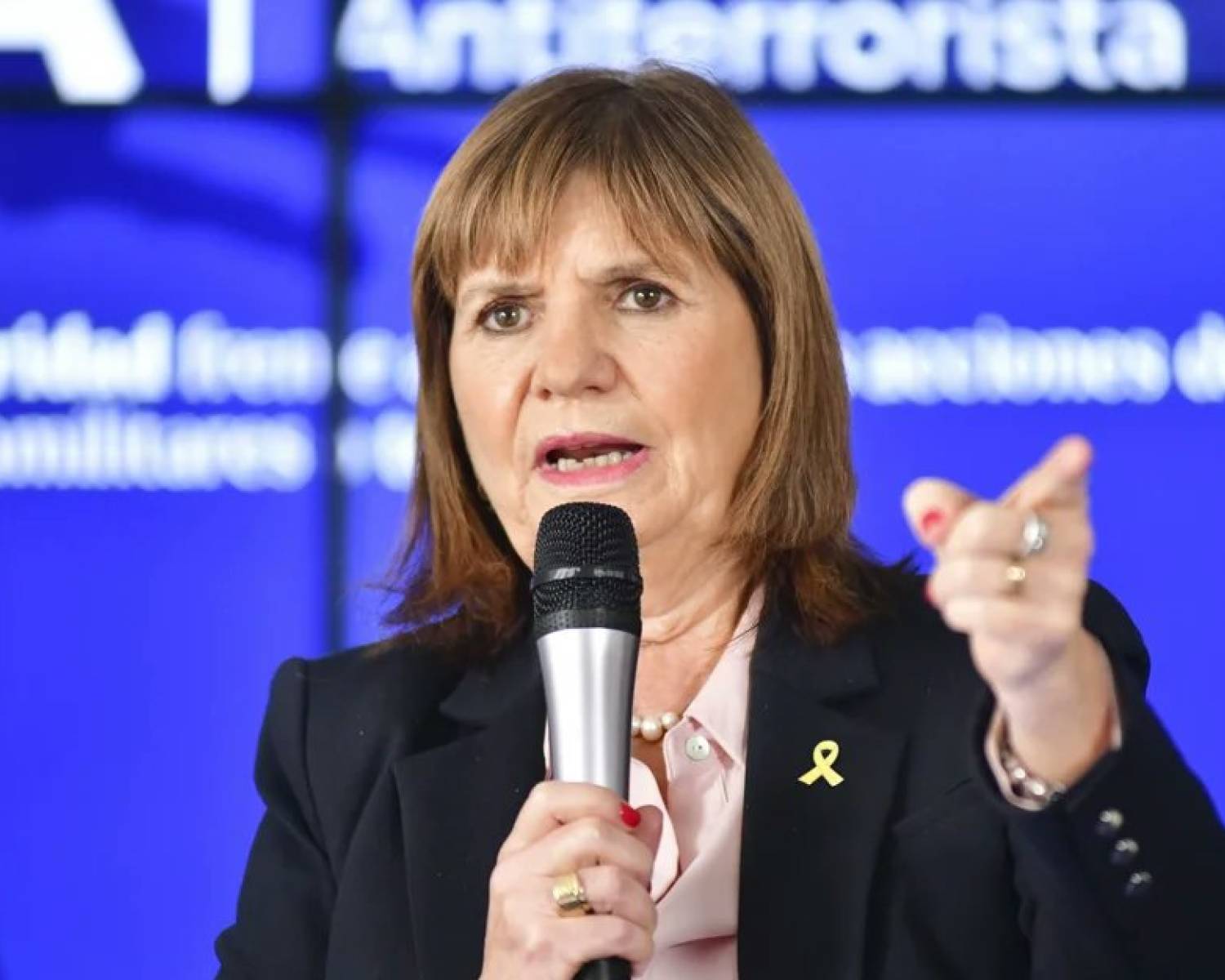 Bullrich advirtió que 