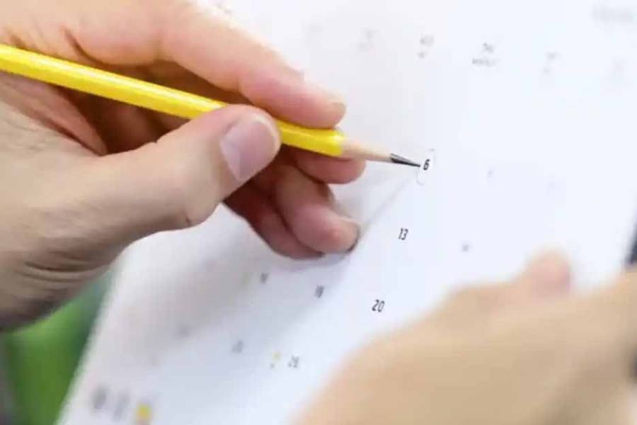 Cuatro días de mini vacaciones: cuándo es el próximo fin de extra largo de noviembre