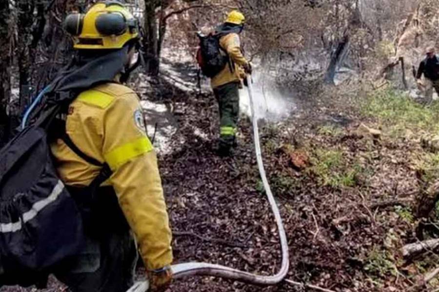 Se declaró la emergencia ígnea en Río Negro