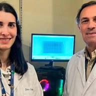 Científicos argentinos lograron un importante avance para el tratamiento de la diabetes