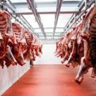 Afirman que el precio de la carne seguirá en alza tras suba de 15%