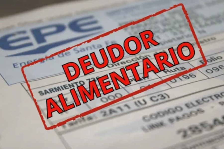 A un deudor alimentario le cobrarán la plata que le debe a su ex esposa en la factura de luz
