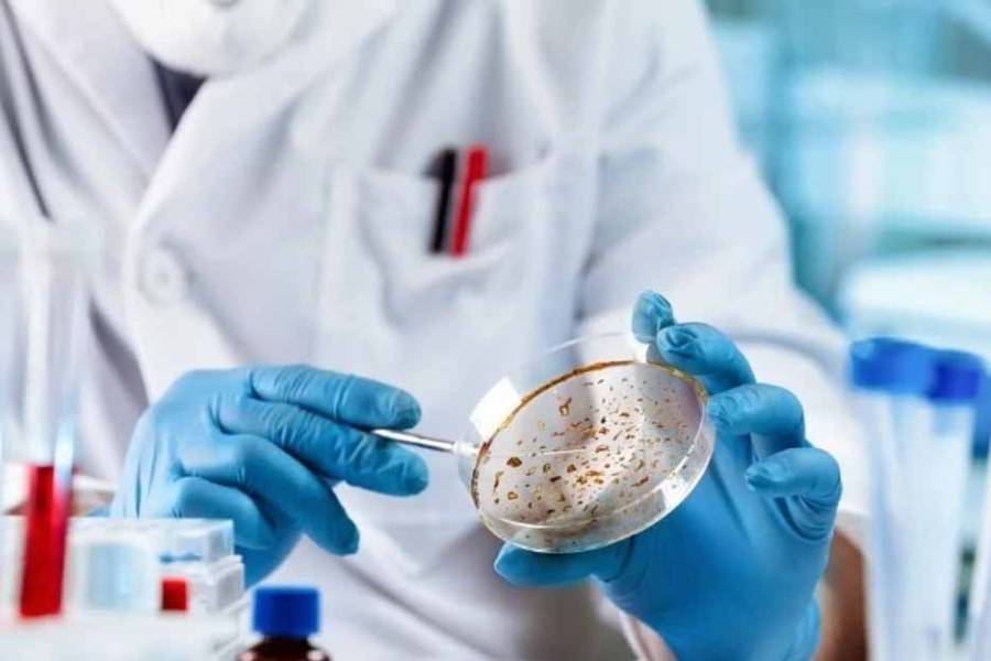 Avance científico en Australia: crean un catálogo de cáncer infantil para impulsar la inmunoterapia