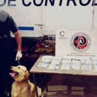 Viajaba con más de 500 comprimidos de ansiolíticos