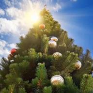 Oficial: cuándo son los asuetos otorgados a nivel nacional por las fiestas de fin de año