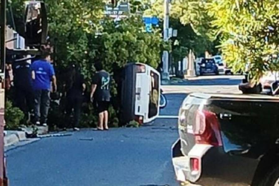 Con su Fiat Uno chocó un árbol, volcó y se salvó de milagro