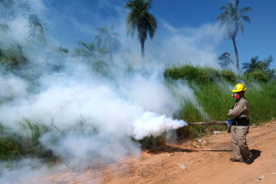 Crece la cantidad de casos de dengue: se registraron 870