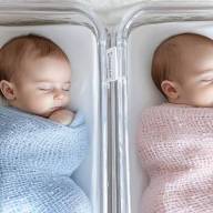 El problema de la natalidad en el mundo: ¿por qué en Argentina cae a mínimos históricos?