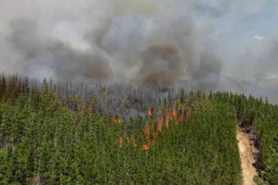 Incendio forestal en zona turística de Chubut arrasó con viviendas y vehículos
