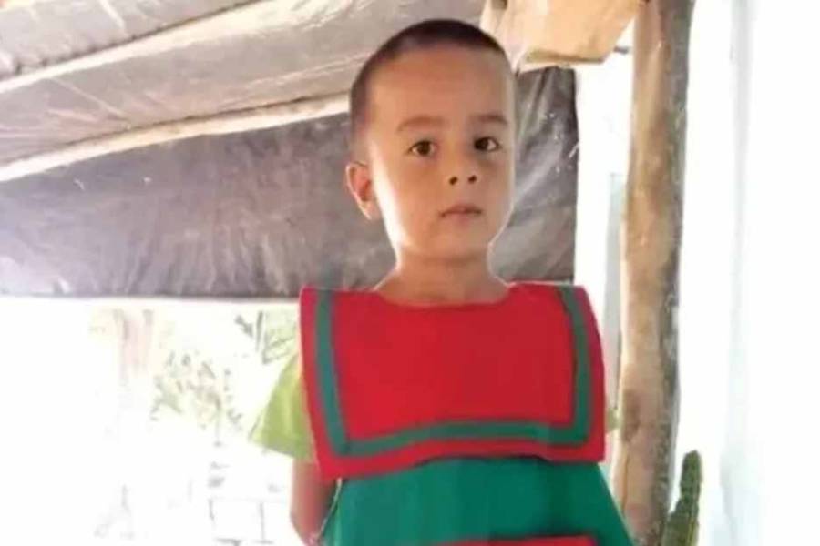 Se conoció un dibujo que sería clave para identificar a quien se habría llevado a Loan