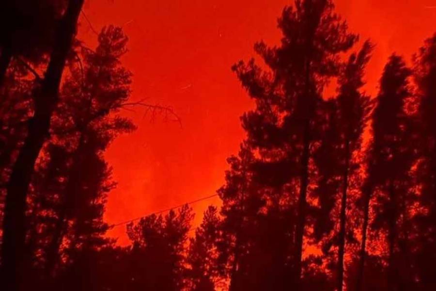 Acusan a Milei de “desfinanciar” el Servicio Nacional del Manejo del Fuego