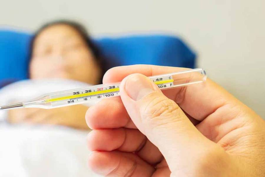 Fiebre amarilla: qué es y cómo se contagia