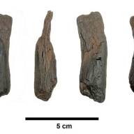 Descubren en Grecia las herramientas de madera más antiguas del mundo: fueron utilizadas por los humanos hace 430.000 años