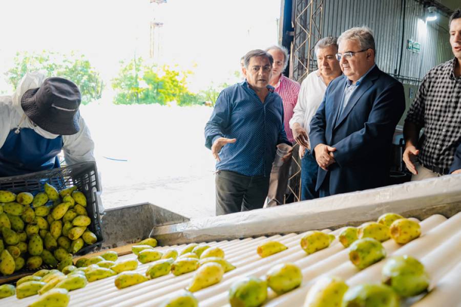 Catamarca avanza hacia su primera exportación de tuna con destino a Europa