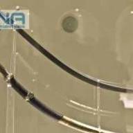 El Sable Corvo de San Martín vuelve al Regimiento de Granaderos