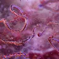 Investigación reveló que el coronavirus puede desaparecer, pero deja restos 