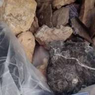 Llevaba 18 fósiles en el baúl: intentaron pasar los restos a Chile y los detuvo la Aduana