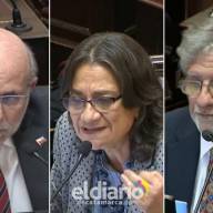 Flavio Fama votó a favor, Lucia Corpacci y Guillermo Andrada votaron en contra de bajar la edad de imputabilidad